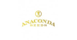 Anaconda Seeds