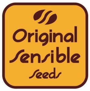 Original Sensible Seeds