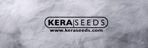 Kera Seeds